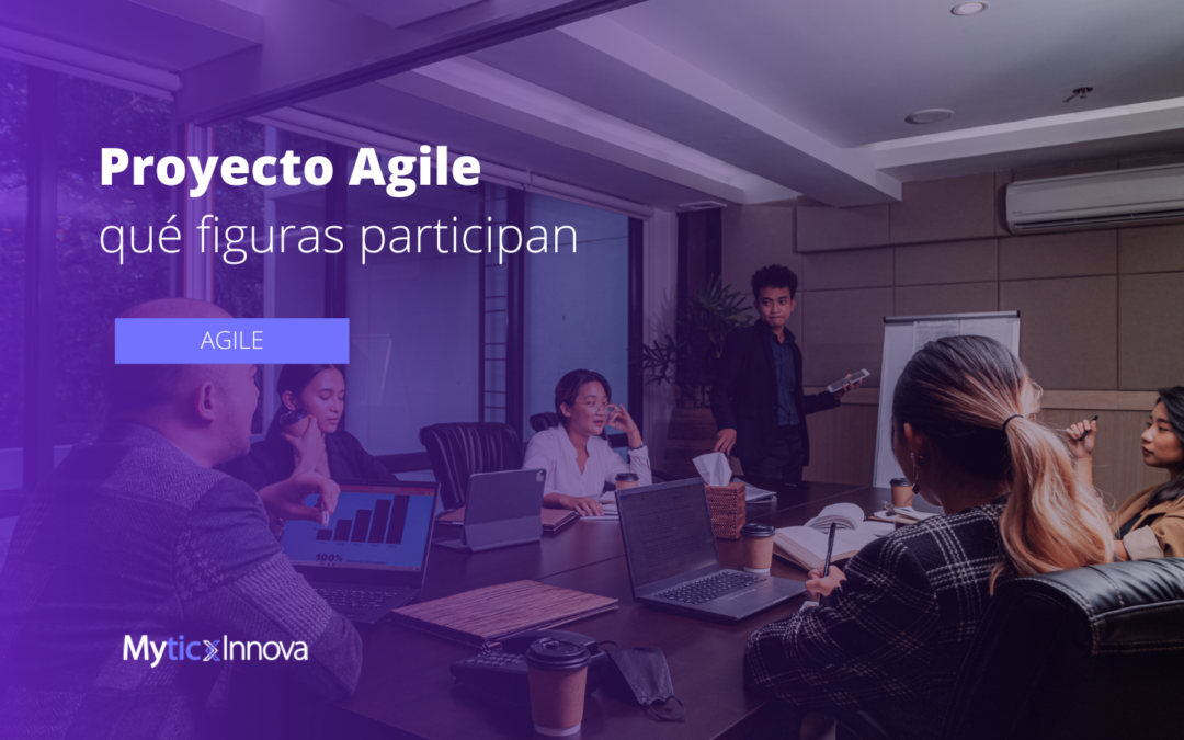 ¿Qué equipos participan en un proyecto agile?